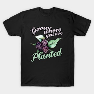 Black Raspberries Grow where you are planted T-Shirt